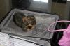 Filename=1-image.jpg
Filesize=46KB
Dimensions=640x426
Date added=Oct 03, 2013 1-image.jpg
